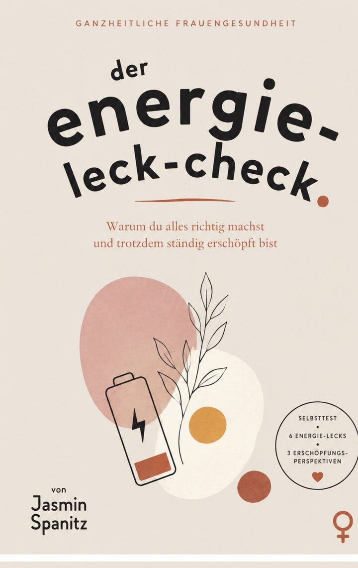 Der Energie-Leck-Check – Cover